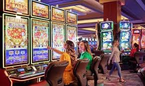 sunbet Bingo